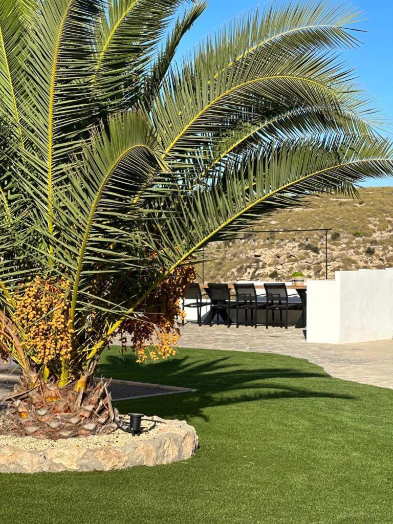 Los Palmitos Agua Amarga  Kültér fotó